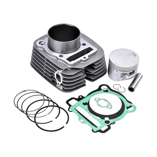 Segments de Piston YFM350 pour Réparer la Perte de Compression de Votre Moto