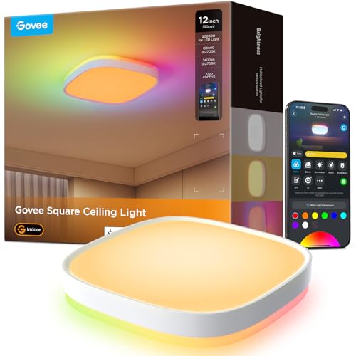 Govee Square Ceiling Light