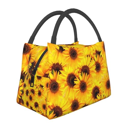 Ђ܂10 `obO ٓ e y ۗ ۉ 􂦂  sNjbNp d [ ʋ ʊw fMobO ܂肽 VbsOobO RrjobO  N[[obO lp jp p qp