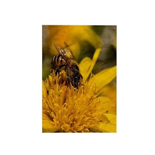 3dRose African Honey bee with Pollen sacs, Little Namaqualand, South Africa. 15x22 Hand Towel