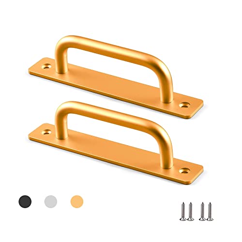 Tirador para puerta corredera (2 unidades, con tornillos, distancia entre ejes: 130 mm), color dorado Cover