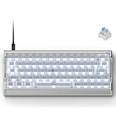 Amazon.com: IQUNIX EV63 Hall Effect Magnetic Gaming Keyboard 60