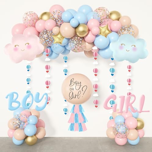 Ouddy Party SKU-061-1 Gender Reveal Decorations, Pastel Pink And Blue Nude Confetti Balloons Arch Kit Star Hanging Cloud Garland Paper Tassels He Or She Boy Or Girl Gender Reveal Baby Shower Party Supplies cover