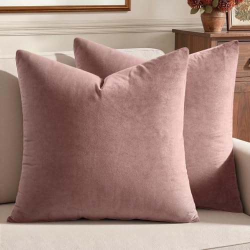 Image of MIULEE Velvet Throw Pillow Covers 20x20 Inch, Pack of 2 - Jam, Soft Solid Decorative Pillow Covers Cushion Cases Modern Luxury Home Decor for Spring Couch Sofa Bedroom Livingroom