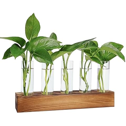 RENMXJ Plant Propagation Station Cover