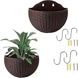Generico 2 Pezzi Vaso Da Fiori Sospeso A Parete In Finta Rattan, Vasi Da Fiori Da Appendere Alla Parete Semicerchio, Portapiante Fioriere A Muro Con Foro Di Drenaggio E Ganci Per Recinzione Balcone