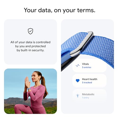 Image of Google Fitbit Next, Berry