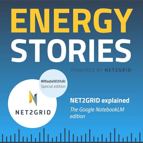 NET2GRID explained: the Google NotebookLM edition Podcast Por  arte de portada