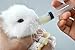 Kitten Bottles for Nursing. Pet Puppy Bottles. Dog and cat and Wild Animal Silicone Nipples (Feeding Tool)