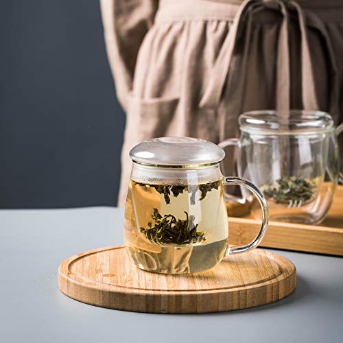 DOSYEN Taza de té de vidrio con infusor y tapa, taza de vidrio de borosilicato de 17 onzas, duradera, resistente al calor, adecuada para té, bebidas, café helado