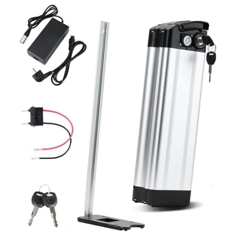 ZHIKAN E-Bike Battery 36V 21Ah with Charger Cover