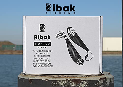 Foto von Ribak Gummifisch Set 30 Stück | Hunted Gummifische Set 10 cm | Köder für Barsch, Zander und Hecht | 30er Set - 6 Farbdekore