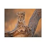 3.le kit de peinture au diamant de forage complet 5D est un nouveau métier de mode, toile colorée, symboles et chiffres clairs, diamant tridimensionnel étonnamment étincelant, peinture au diamant plus facile et plus belle que la broderie au point de croix, est facile à réaliser des œuvres classiques d'art.