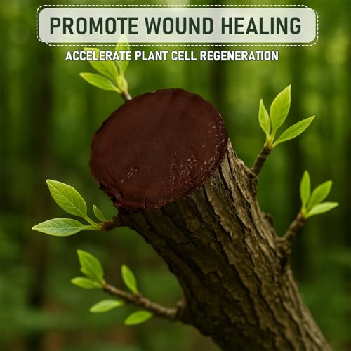 Image of Tree Wound Sealer & Dressing 1 Gallon, Tree Pruning Sealer for Cut, Damaged Bark, Grafting - Effective Tree Repair Sealant for Shrub, Bonsai, Rose, Orchard, Trunk | Horticulture Grade Seal Paint