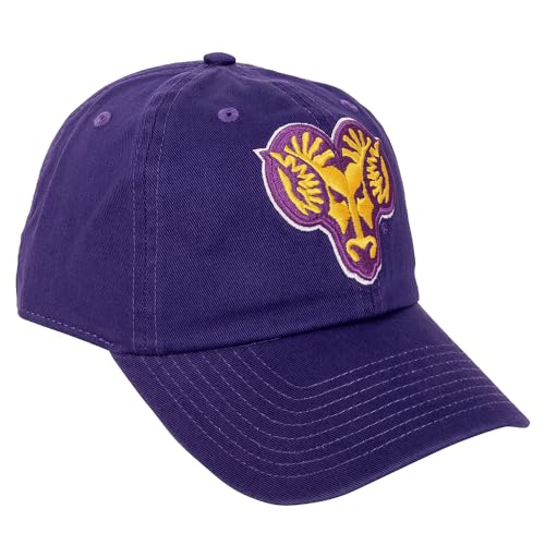 Gorra bordada ajustable estilo baseball adulto miniatura 1