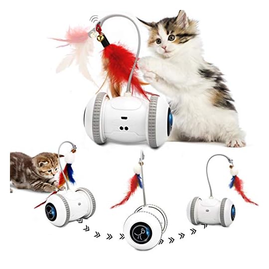 Nueplay Interactive Cat Toys, Automatic Cat Feather Kitten Toy with LED & Feathers, Bells, Speeds Mode & 360° Auto Rotating, Smart Electronic Pet Exercise Toys, Ideal Pet Gift for Indoor Cats Kitten