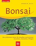  Bonsai: Die schönsten Arten für draussen und drinnen. Anziehen, Gestalten, Pflegen