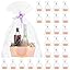 Tuanse 30 Pcs Basket For Gift Empty DIY Bulk Gift