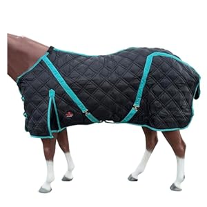 HILASON Western Horse Stable Blanket Quilted | Horse Blanket | Horse Blankets for Winter | Water Resistant Stable Blankets for Horses | Blankets for Horses | Black | 78 Inches