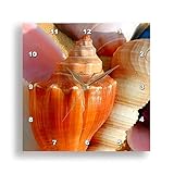 3dRose DPP_934_1 - Reloj de Pared con Conchas Marinas, 10 Pulgadas, Multicolor