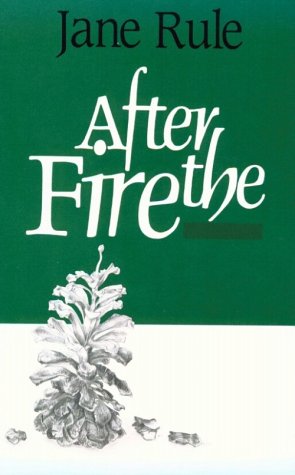 Buy After the Fire — BookShops.in