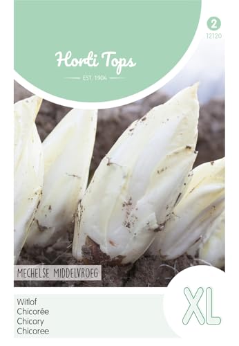 Hortitops 12120 Ensalada de achicoria Mechelse Middelvroeg (semillas de achicoria)