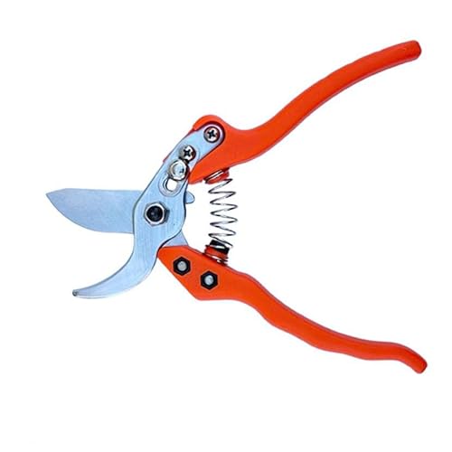 SK5| ΂, Yf| }؂΂, IW, S19.5cm, ZbgXvO, lԍHwfUC, XyAXvOt, HRC56-60x