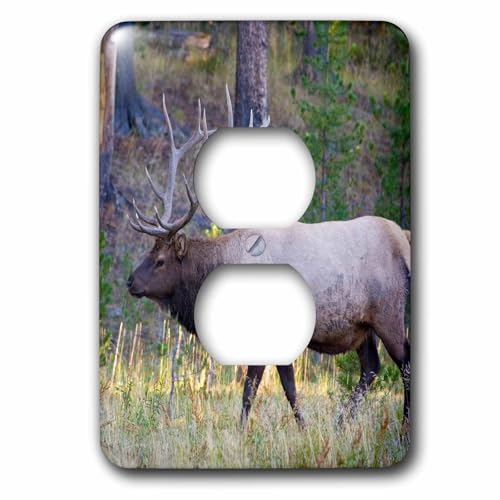 Double prise de courant Bull Elk Yellowstone 3dRose motif nature