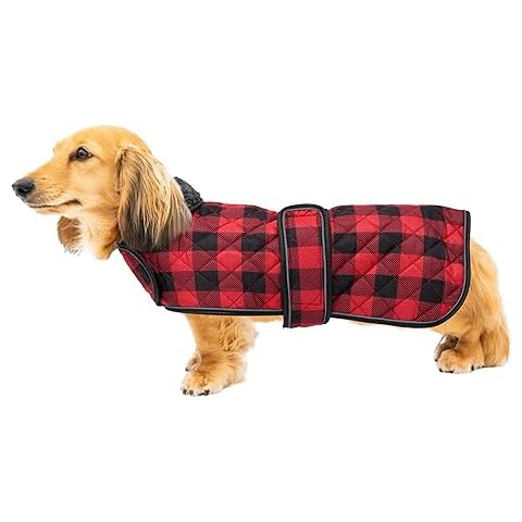 Geyecete Waterproof Thermal Dachshund Coat Cover