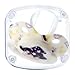 Somniumnight Big Shield Adult Pacifier: Cute Bear Large Size Paci for Anxiety - Soft Silicone Bigger Nipple Binky for Autism Bear White