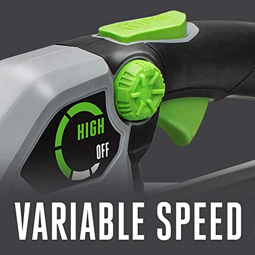EGO Power+ LB6504 650 CFM Variable-Speed 56-Volt Lithium-ion Cordless Leaf Blower 5.0Ah Battery and Charger Included