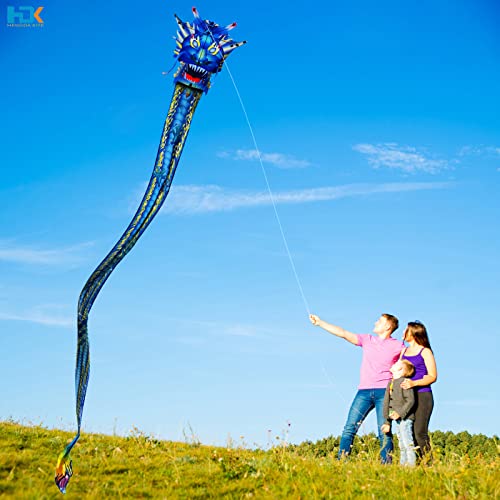 Hengda Kite Legendary Dragon Kite,For Kids And Adults,Easy To Fly,Excellent Fabric And Structure Design,Suitable For Square, Beach, Grass, Park,Excellent Gift,(35X157) In #TOP3