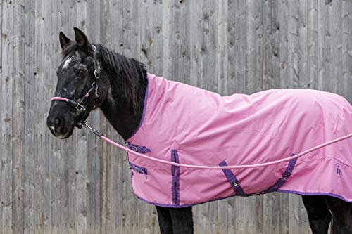 Winterdecke für Pferde Indira Winter Pro 400g Kälteschutz für extreme Bedingungen