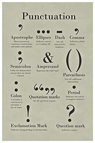 Image of Punctuation Poster Grammar Writing English Classroom Posters Depth Knowledge Literary Terms Library Class Decorations High School Teacher Home Chart Cool Wall Art Print Poster 12x18