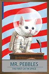 Bronze Framed Version