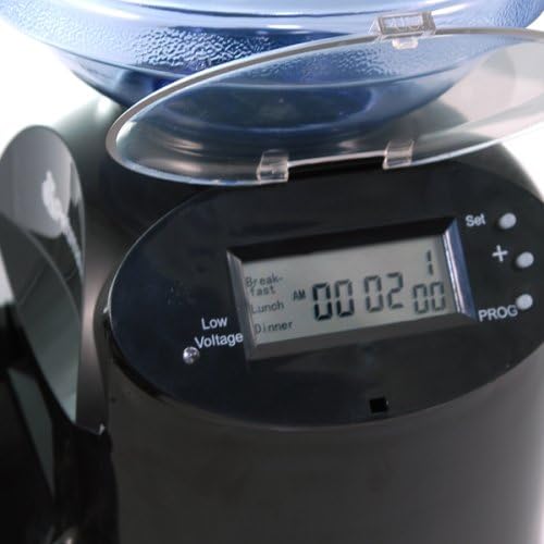 bistro cat feeder amazon