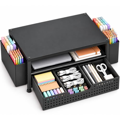 ECOLOVI 2-Tier Monitor Stand Organizer