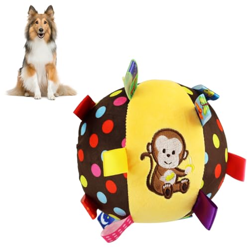 p{[ ^Ot   ] ǂ ^s \tg (T)