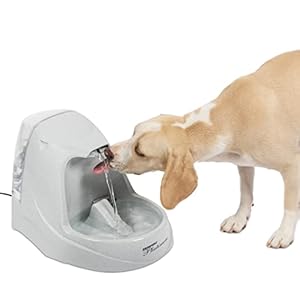 PetSafe Fontaine à Eau en Cascade Drinkwell Platinum 5 L pour Chien et Chat, Distributeur Eau pour Animaux, Débit réglable, Retient Les Odeurs et Bactéries, Facile à Nettoyer, Blanc