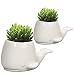 GeLive Set of 2 Whale White Ceramic Succulent Planter Flower Pot Window Box Decorative Container (Set of 2 Whale)