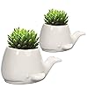 GeLive Set of 2 Whale White Ceramic Succulent Planter Air Plant Pot Window Box Decorative Container 4 Inch Indoor Outdoor Usage