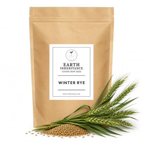 Winter Rye Seed (Cereal Rye) Uncoated Cover Crop & Food Plot Seed | Non-GMO USA-Grown | Late-Planted Fall Cover Deer Food Plot Nurse Crop & Living Mulch (1 Pound)