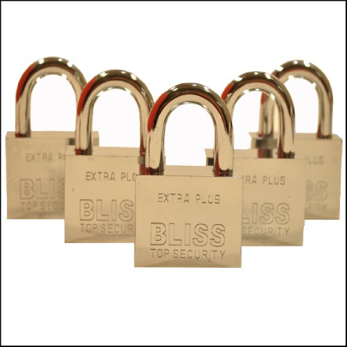 Preisvergleich Produktbild Vorhängeschlösser Set 50mm Generalschlüssel Kellerschloss Gleichschließend 5er Set