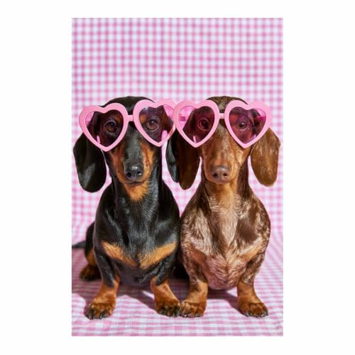Peinture sur toile d’animaux teckels mignons art mural salon decoration interieur 60x90