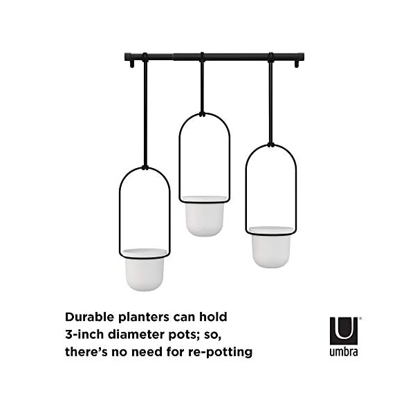 Umbra Triflora Hanging Planter for Window, Indoor Herb Garden, White