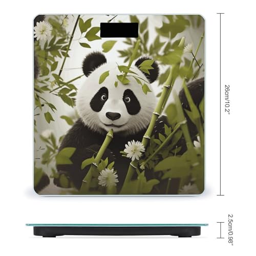 Báscula Digital de Baño con Vidrio Templado y Display LCD Claro miniatura 2
