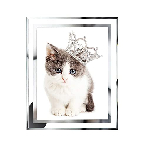 フォトフレーム 六つ切り 写真 フレーム ガラス 横縦置き兼用 ピクチャーフレーム