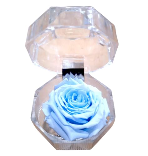Genérico Rosa ETERNA Azul Celeste en joyero. Regalo Original. Rosa Azul preservada. Rosa Azul Natural preservada. Decoración Elegante. Regalos Enamorados, cumpleaños, Aniversario, Dia de la Madre.