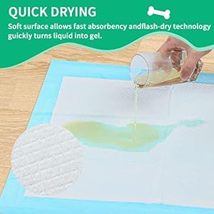 Dog Grass Pad with Tray Arificial Grass Patch for Dogs Potty Tray Fake Grass for Dogs to Pee on Turf with Tray for Litter Box Puppy Potty Training Collect Pet Pee Outdoor and Indoor Use  Cucciolini Doodles Dog grass pad with tray arificial grass patch for dogs potty tray fake grass for dogs to pee on turf with tray for litter box puppy potty training collect pet pee outdoor and indoor use   cucciolini doodles