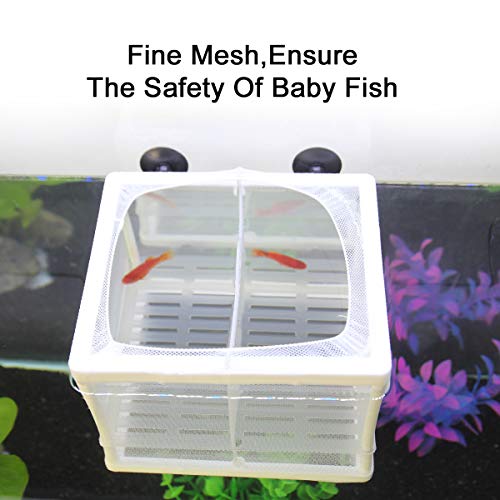 Senzeal Aquarium Fish Breeder Box Fish Fry Hatchery Incubator Net Nylon Isolation Mesh with 3pcs Pipette(Small) - Image 6